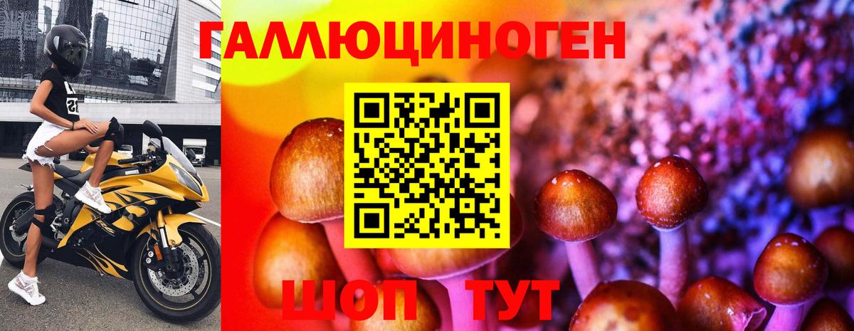 Галлюциногенные грибы Cubensis Саки